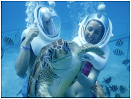 How to Plan Andaman Honeymoon Trip 9 How to Plan Andaman Honeymoon Trip undersea walk How to Plan Andaman Honeymoon Trip