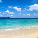 Bharatpur Beach on Shaheed Dweep with a scenic tropical beach view in Andaman