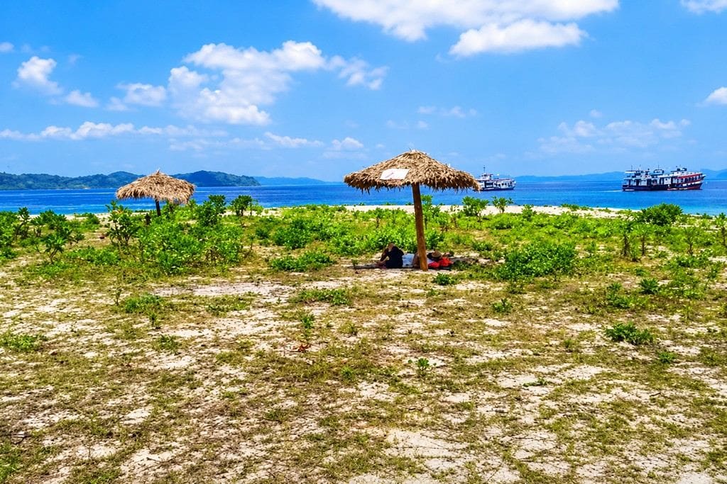 Jolly Buoy Island in Andaman with pristine coastal scenery and natural marine surroundings