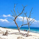 Kalapathar Beach on Swaraj Dweep with a scenic tropical coastal landscape in Andaman