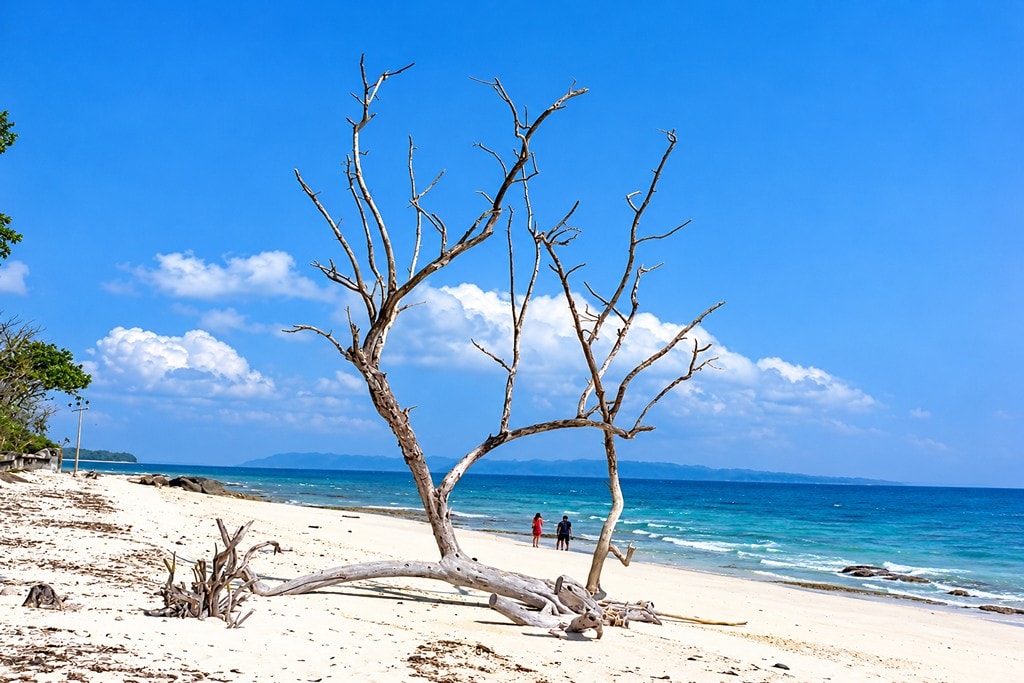 Kalapathar Beach on Swaraj Dweep with a scenic tropical coastal landscape in Andaman