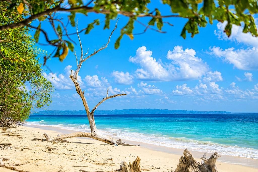Kalapathar Beach on Havelock Island, Andaman, with turquoise sea, white sand, tropical forest, and scenic coastal views.