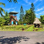 Mount Manipur National Park near Port Blair with tropical forest and scenic hill landscape