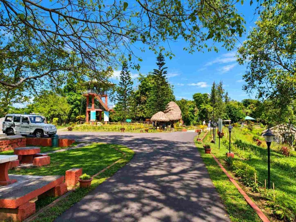 Mount Manipur National Park near Port Blair with lush tropical vegetation and scenic surroundings