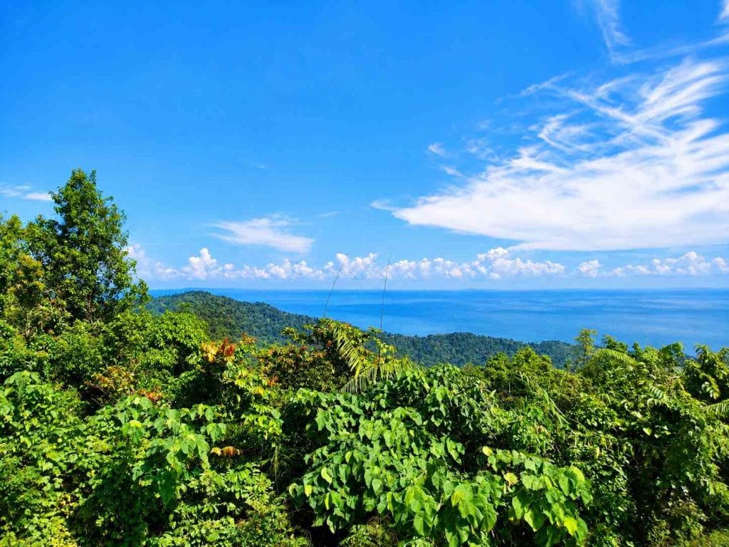 Mount Manipur National Park near Port Blair showing tropical forest and natural scenery