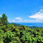 Mount Manipur National Park near Port Blair showing tropical forest and natural scenery