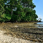 Natural rock formation near Laxmanpur Beach with the coastal landscape of Neil Island, Andaman