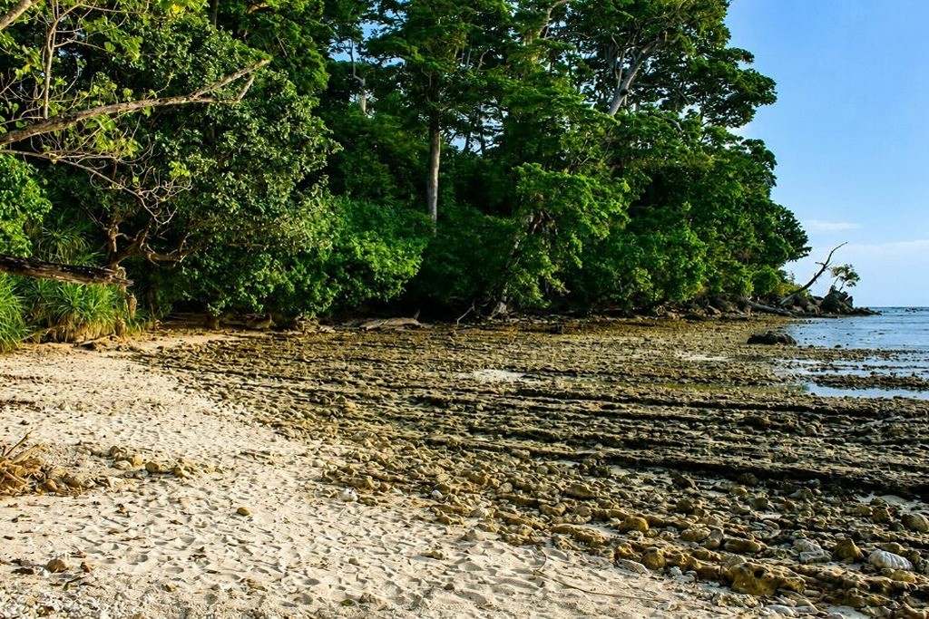 Natural rock formation near Laxmanpur Beach with the coastal landscape of Neil Island, Andaman