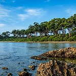 Natural rock formation near Laxmanpur Beach on Shaheed Dweep surrounded by coastal scenery