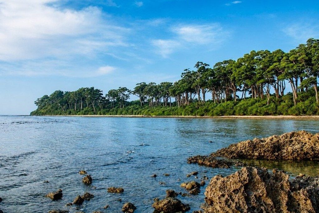 Natural rock formation near Laxmanpur Beach on Shaheed Dweep surrounded by coastal scenery