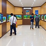 Ocean and marine life display at Naval Marine Museum in Port Blair, Andaman Islands
