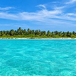 Lush tropical greenery and natural forest landscape of the Nicobar Islands