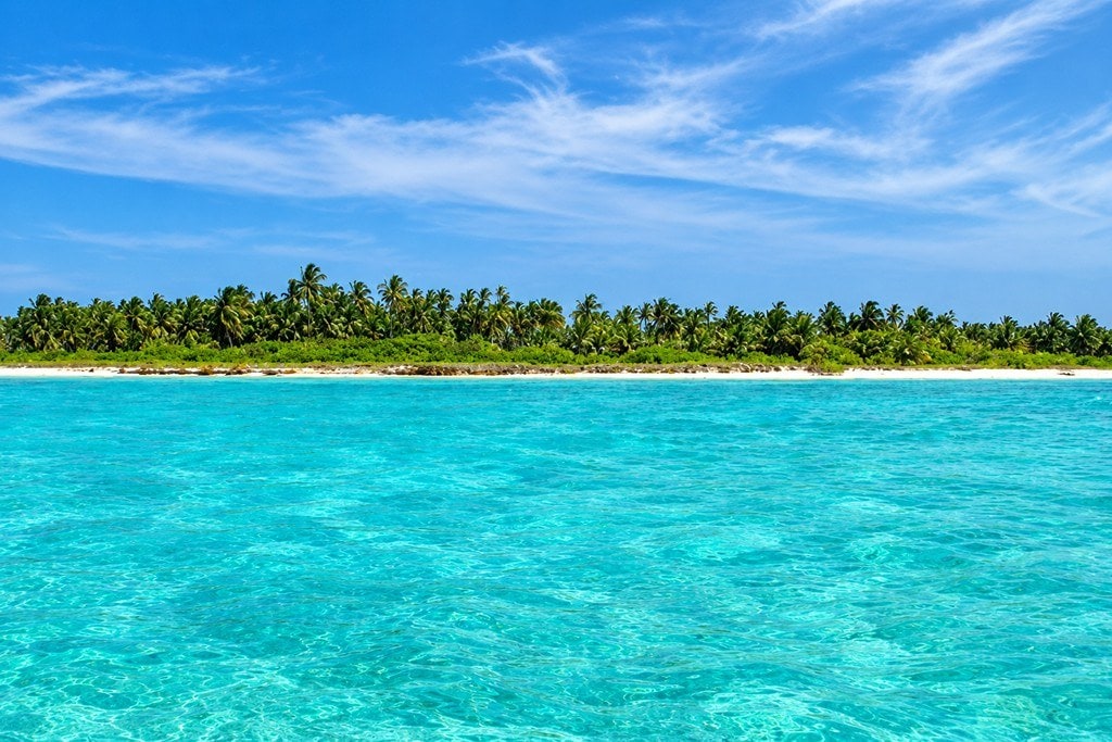 Lush tropical greenery and natural forest landscape of the Nicobar Islands