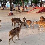 Ross Island near Port Blair, a scenic island tourist attraction in Andaman