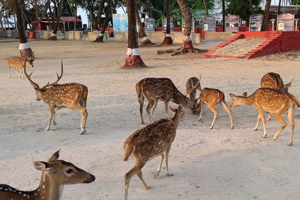 Ross Island near Port Blair, a scenic island tourist attraction in Andaman