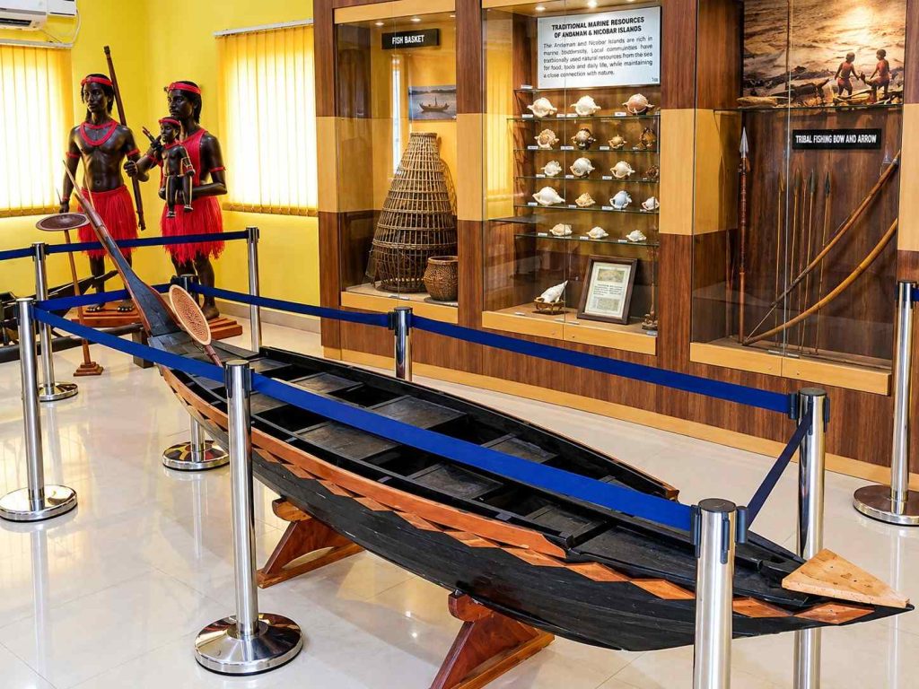 Marine life exhibits at Samudrika Naval Marine Museum in Port Blair, Andaman Islands