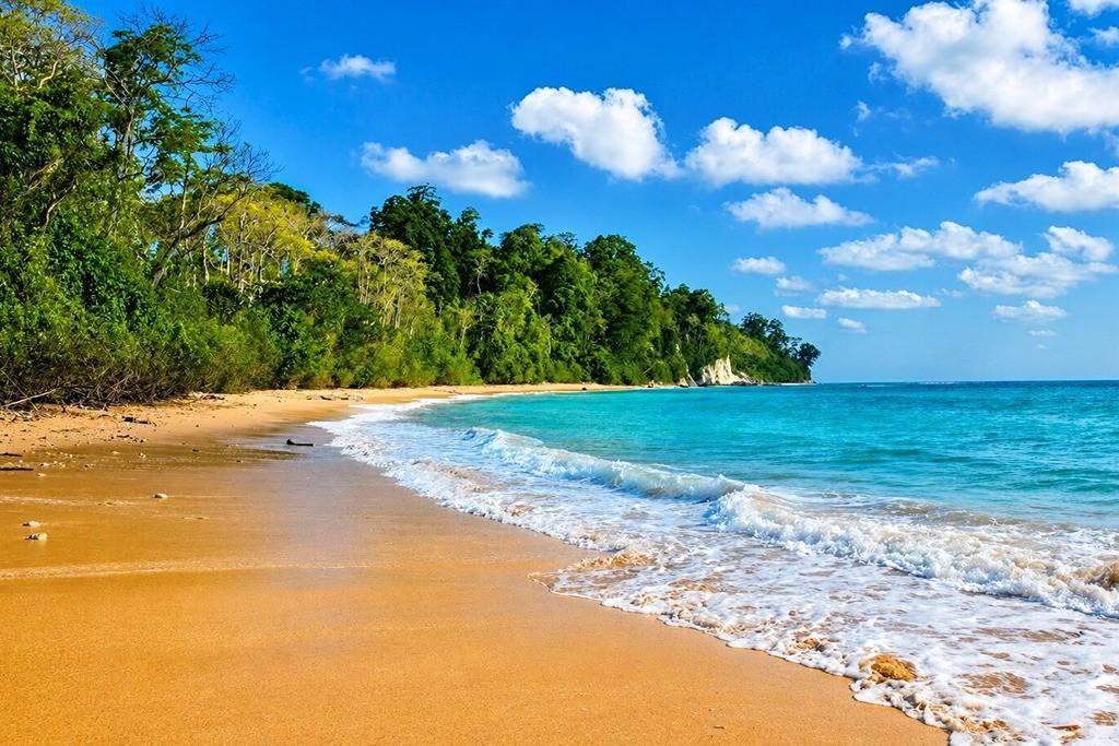 Sitapur Beach on Neil Island, Andaman, with scenic coastline, clear blue sea, sandy shore, and tropical surroundings.