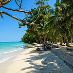 Vijay Nagar Beach on Swaraj Dweep, a scenic tropical beach getaway in Andaman