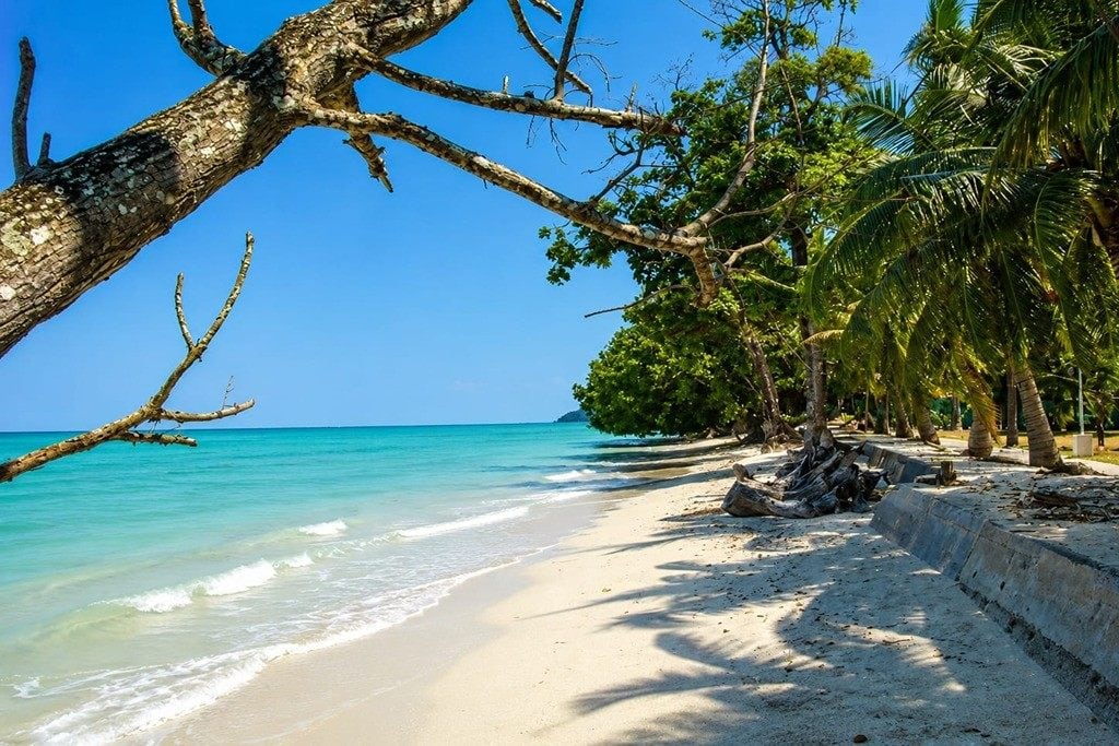 Vijay Nagar Beach on Swaraj Dweep, a scenic tropical beach getaway in Andaman