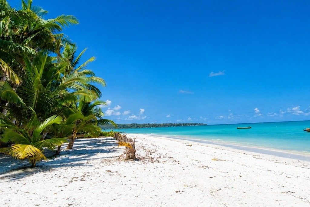 Vijay Nagar Beach on Havelock Island, Andaman, with scenic coastline, clear sea water, and tropical surroundings.