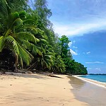 Vijay Nagar Beach on Swaraj Dweep, a scenic coastal destination in the Andaman Islands