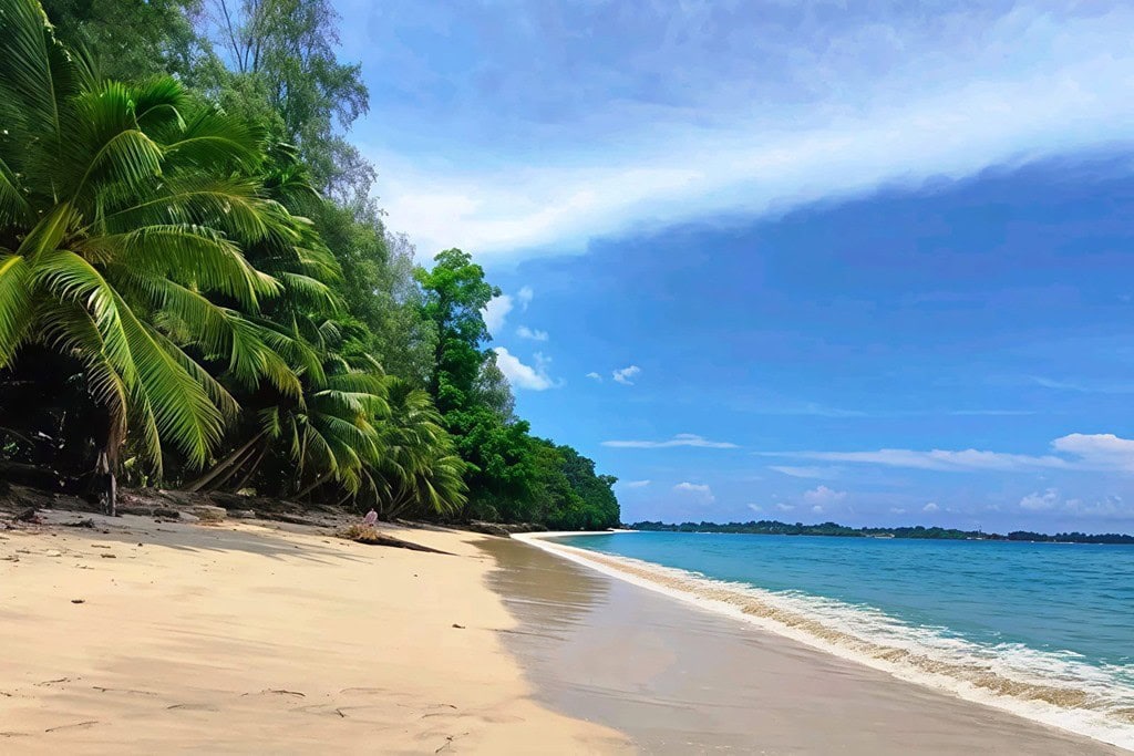 Vijay Nagar Beach on Swaraj Dweep, a scenic coastal destination in the Andaman Islands