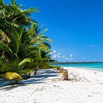 Vijay Nagar Beach on Swaraj Dweep, a relaxing coastal destination for an Andaman beach holiday
