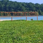 Diglipur - Ross & Smith Island tour Packages