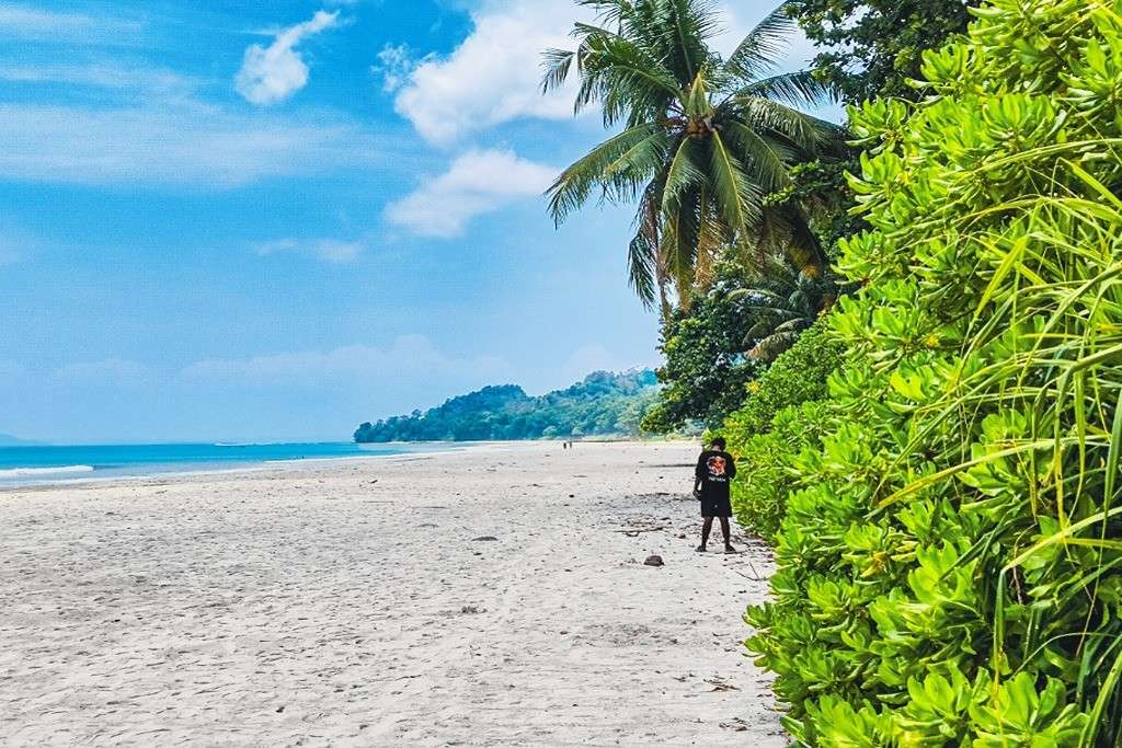 Natural coastal scenery at Amkunj Beach in Rangat, Middle Andaman