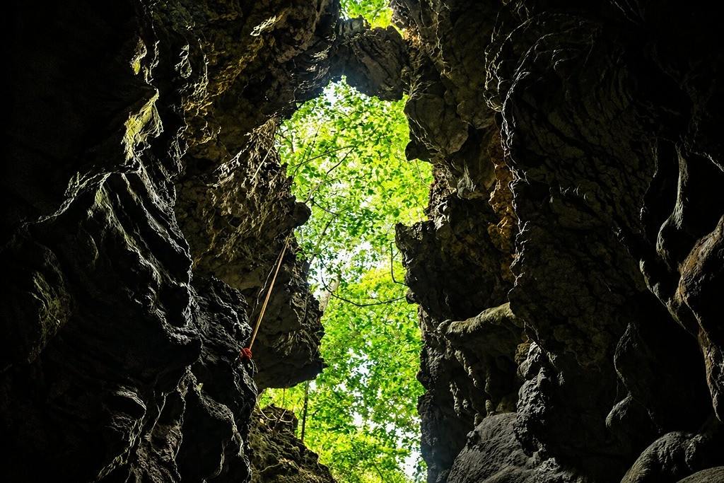 Limestone cave opening with lush green trees visible from inside.