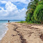 Avis Island showing the natural coastal beauty of the Andaman Islands