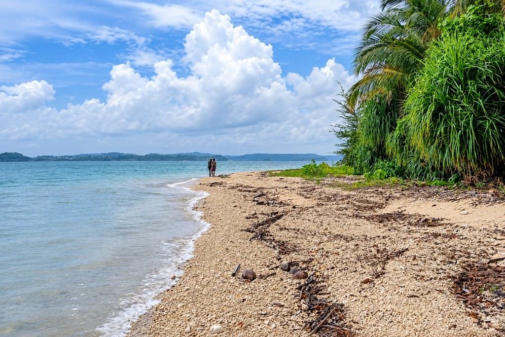 Avis Island showing the natural coastal beauty of the Andaman Islands
