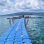 Avis Island with pristine coastal scenery in the Andaman Islands