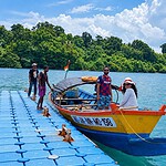 Avis Island showing a tropical coastal landscape in Andaman