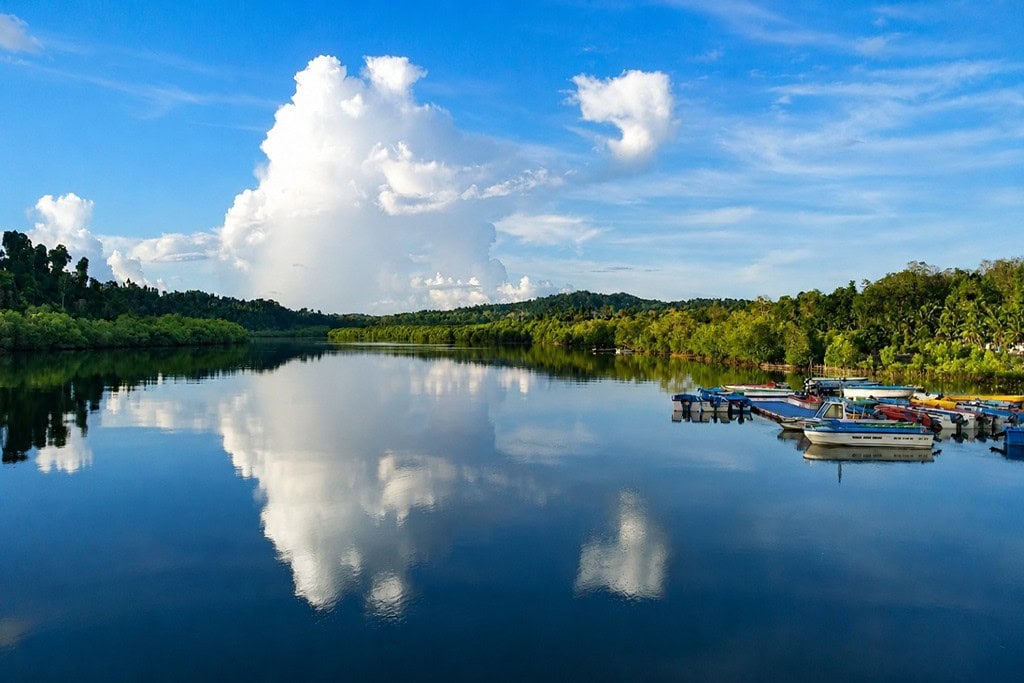 Baratang Island landscape in the Andaman Islands
