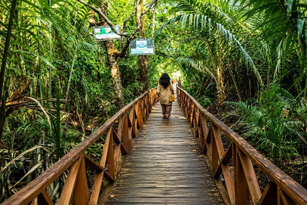 Scenic Dhannihalla Mangrove Walkway surrounded by greenery in Rangat, Andaman