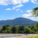 Kalipur Beach near Diglipur surrounded by tropical greenery and the scenic coastline of North Andaman