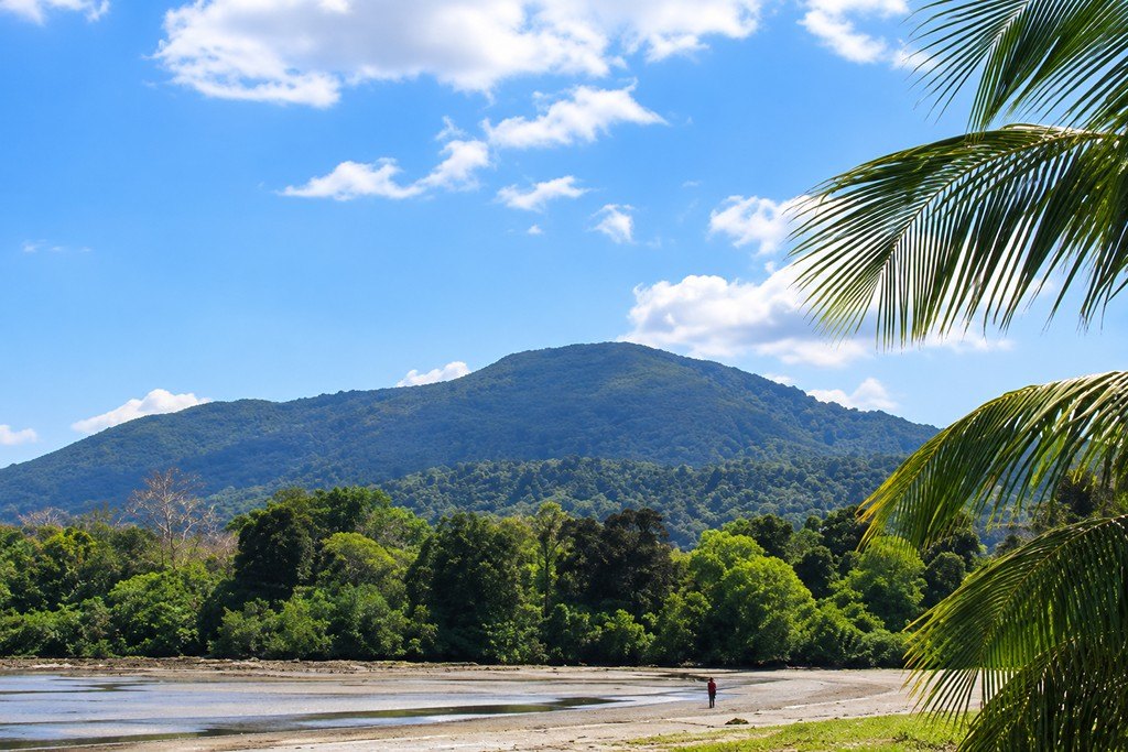 Kalipur Beach near Diglipur surrounded by tropical greenery and the scenic coastline of North Andaman