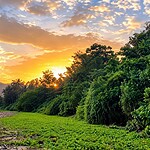 Scenic coastal view of Kalipur Beach near Diglipur with tropical surroundings