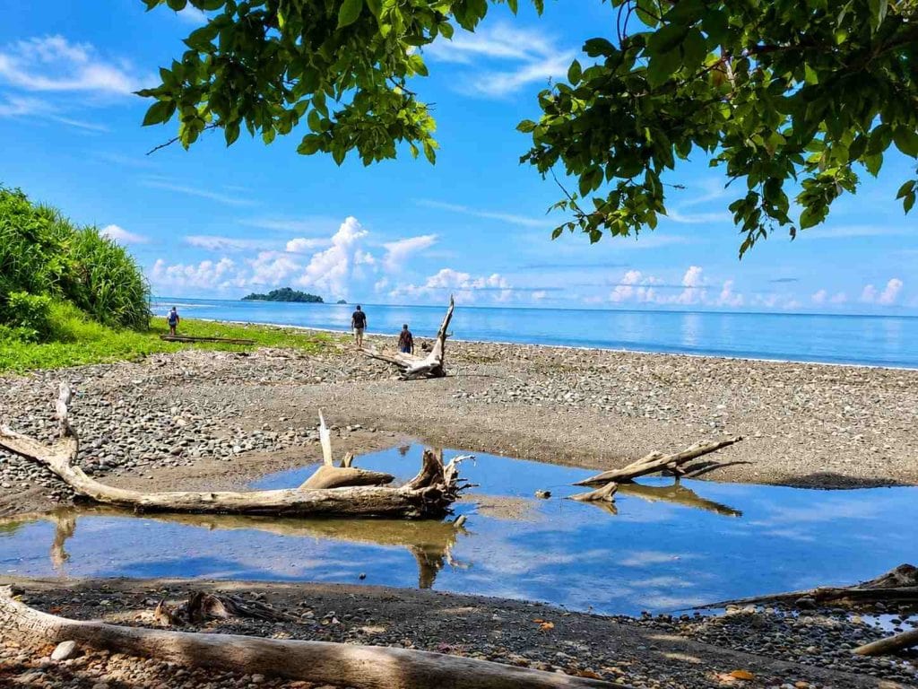 Natural beach landscape at Lamiya Bay near Diglipur surrounded by tropical greenery