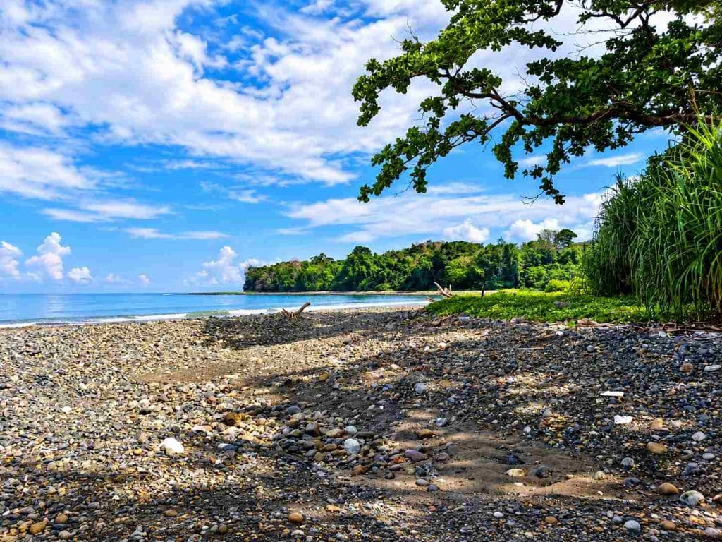 Lamiya Bay near Diglipur with a scenic shoreline and tropical coastal surroundings in North Andaman