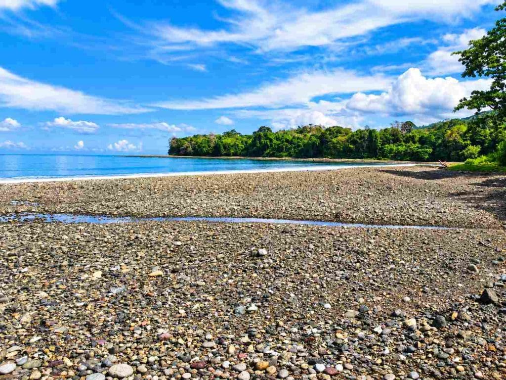 Quiet beach landscape of Lamiya Bay near Diglipur surrounded by natural tropical scenery