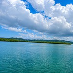 Parrot Island Baratang surrounded by dense mangrove vegetation in Andaman