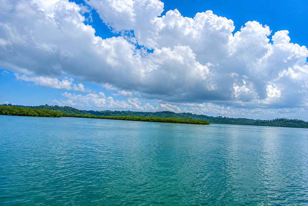 Parrot Island Baratang surrounded by mangroves and tropical greenery