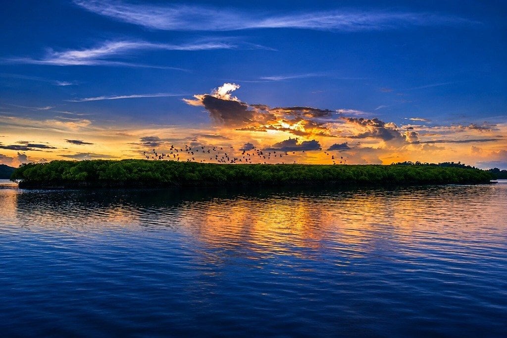 Parrot Island at Baratang Island in Andaman with mangrove forests, scenic waterways, and tropical birds.