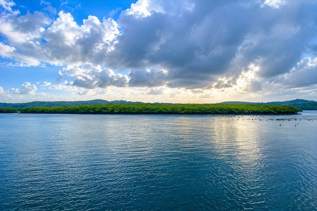 Parrot Island Baratang surrounded by mangroves in the Andaman Islands