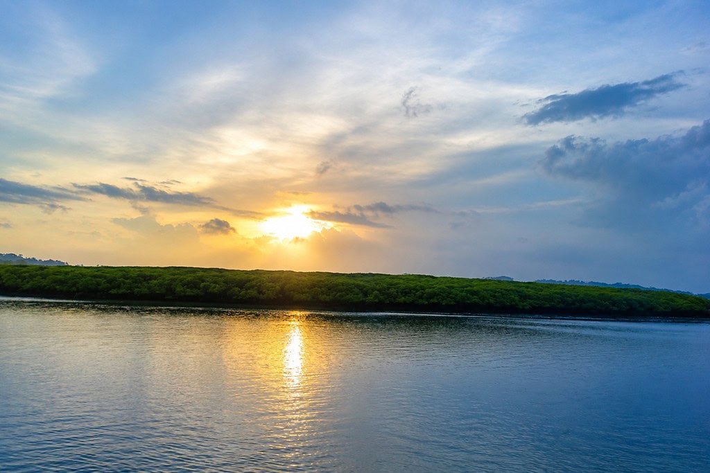 Parrot Island Baratang with mangrove scenery in the Andaman Islands