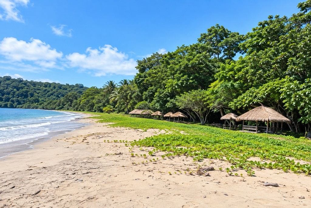 Ramnagar Beach near Diglipur displaying a peaceful stretch of North Andaman coastline