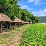 Serene coastal landscape of Ramnagar Beach near Diglipur in North Andaman