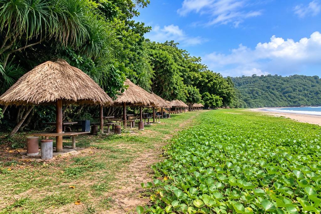 Serene coastal landscape of Ramnagar Beach near Diglipur in North Andaman